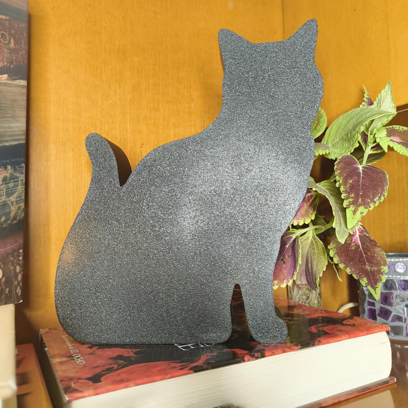 Black cat shelf